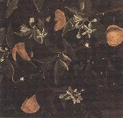 Sandro Botticelli Details of Primavera (mk36) Spain oil painting reproduction